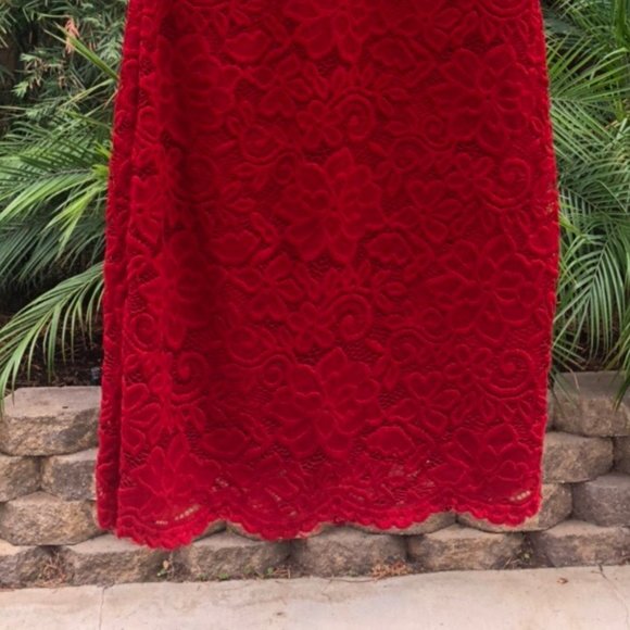 Red Lace Bodycon dress - Picture 4 of 6